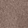 Medium Brown