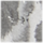 Couleur Argent sélectionnée