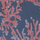 Color Coral Red selected
