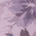Colour Plum selected