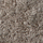 Medium Brown