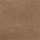 Farbe Sandfarben ausgewählt