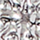 Couleur Argent sélectionnée
