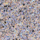 Colour Sky Blue selected