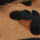 Medium Brown