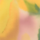 Colour Yellow selected