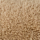 Medium Brown
