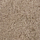 Color Marrón medio