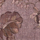 Medium Pink