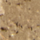 Couleur Or sélectionnée
