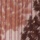 Colour Brown