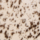 Colour Brown selected