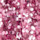 Colour Pink selected