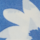 Farbe Blau ausgewählt