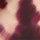 Couleur Bordeaux sélectionnée