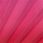 Color Fuchsia selected