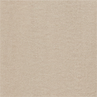 Light/Pastel Grey