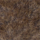 Colour Beige selected
