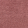 Colour Strawberry