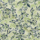 Colour Pastel Green selected