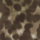 تم اختيار اللون بني