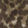 Colour Brown selected