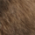 Medium Brown