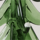 Colour Forest Green selected