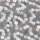 Color Plata seleccionado