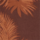 Couleur Marron sélectionnée