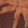 Colour Brown selected