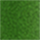 Colour Forest Green selected