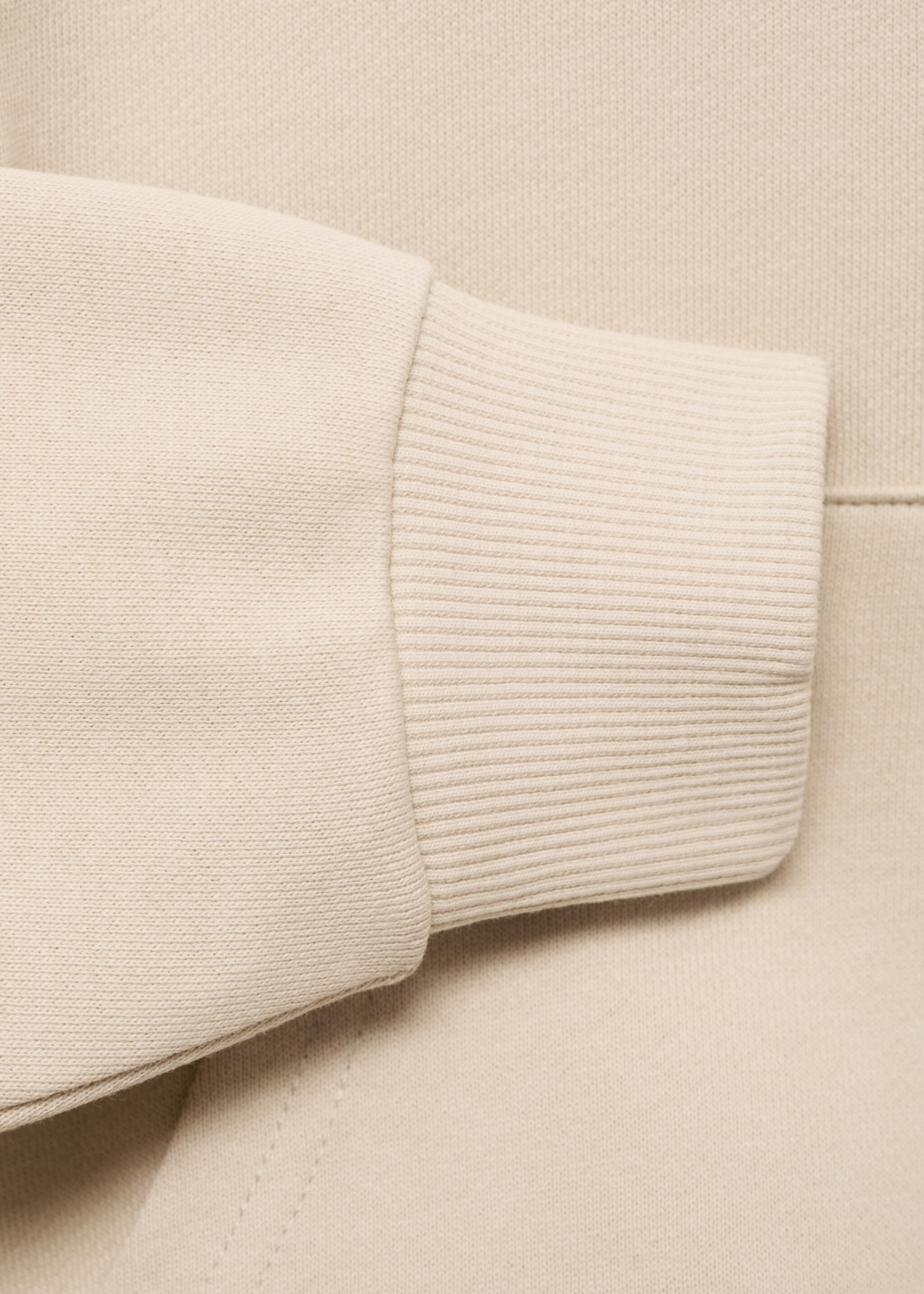 Printed embroidered sweatshirt - Details of the article 0