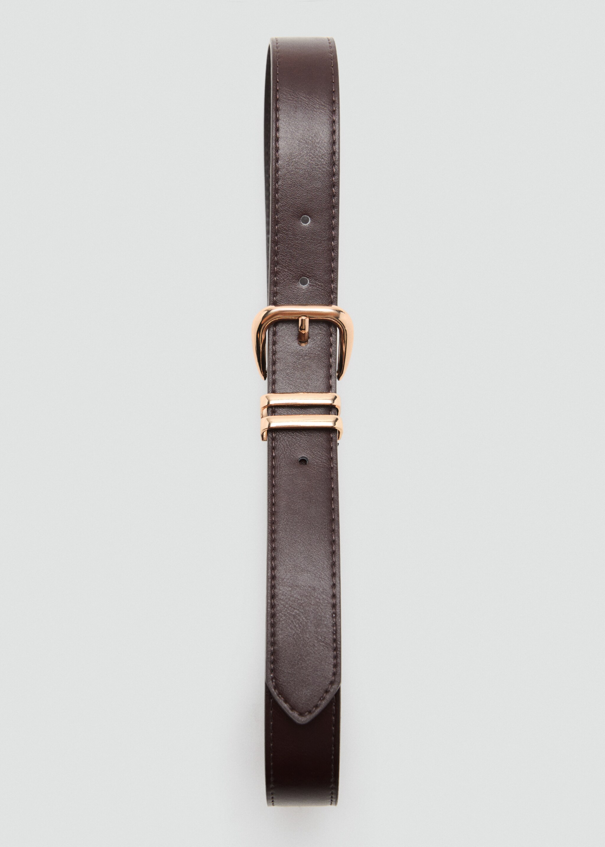 Metal buckle belt - Details of the article 2, Chocolate. Ref: 17004099-00.
