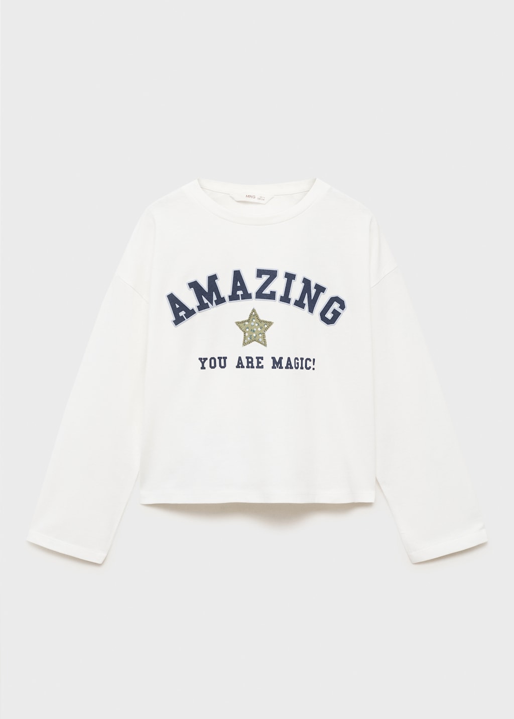 Embroidered printed T-shirt