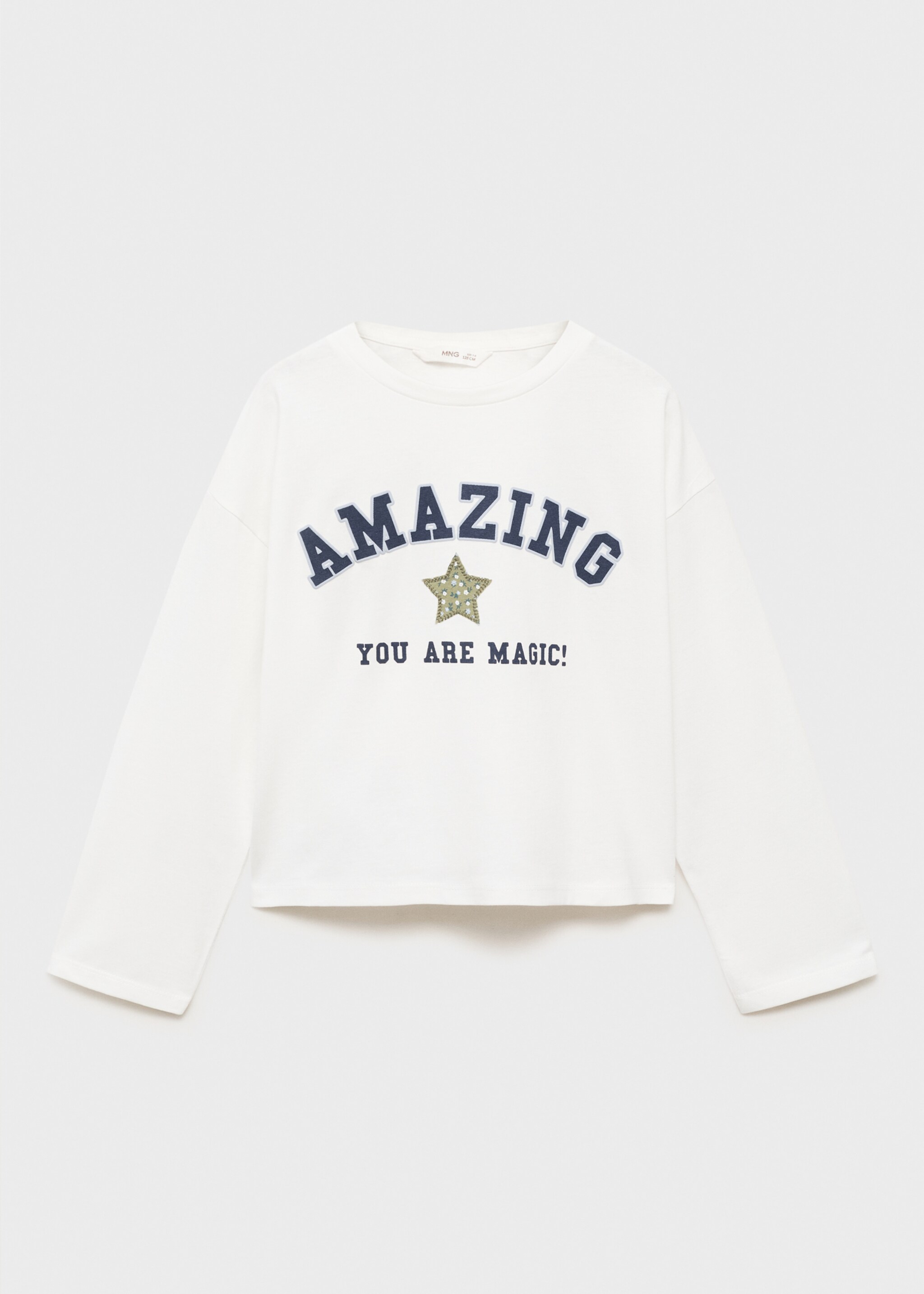 Embroidered printed T-shirt - Article without model