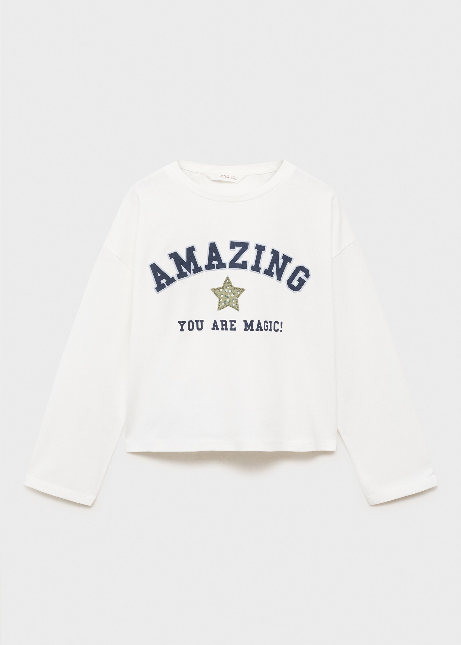 Embroidered printed T-shirt - Article without model