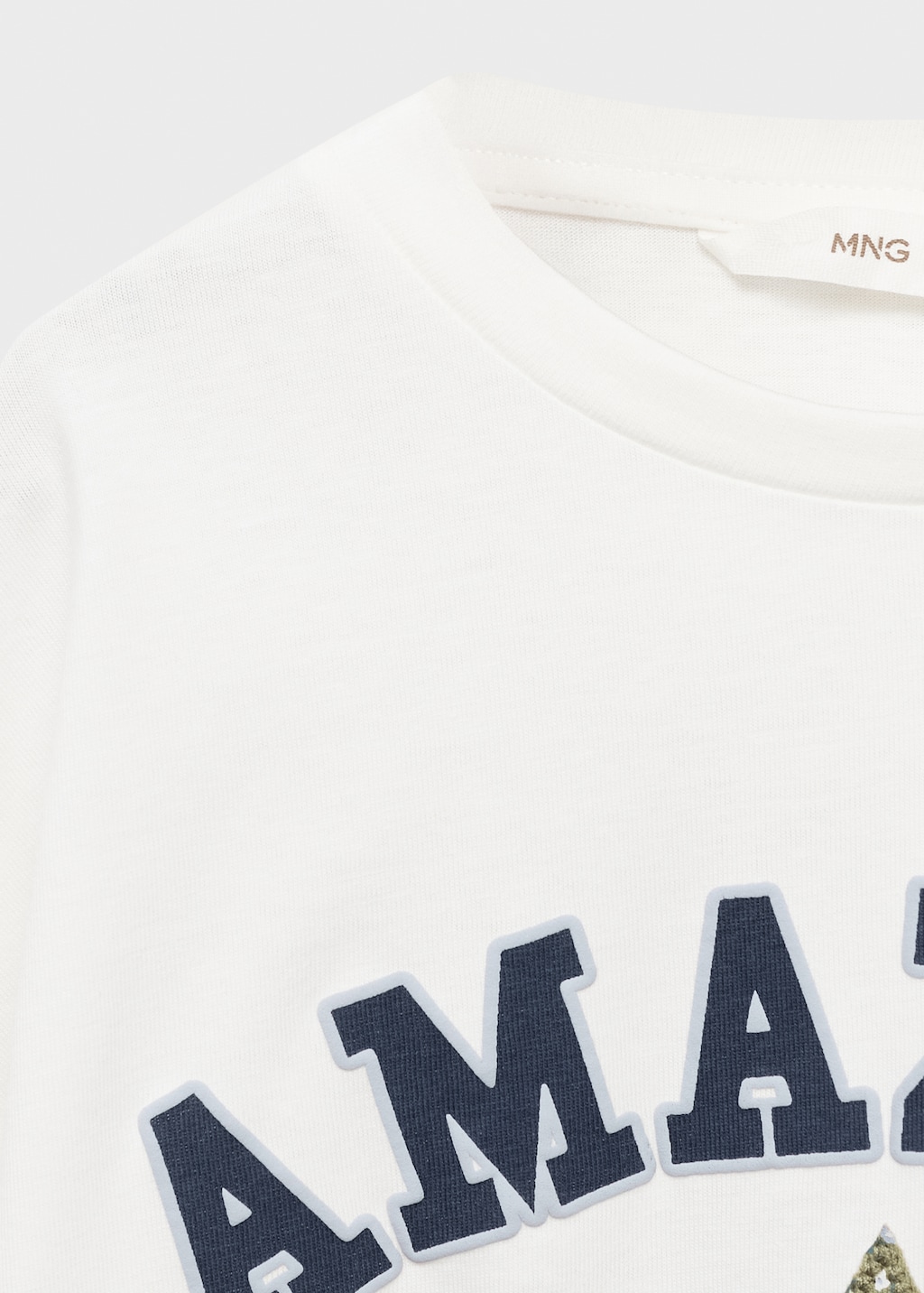 Embroidered printed T-shirt