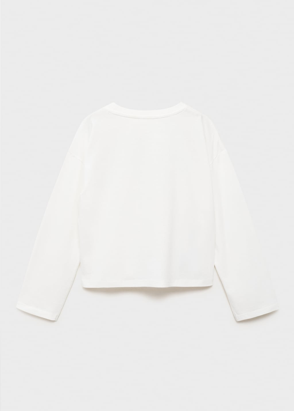 Embroidered printed T-shirt