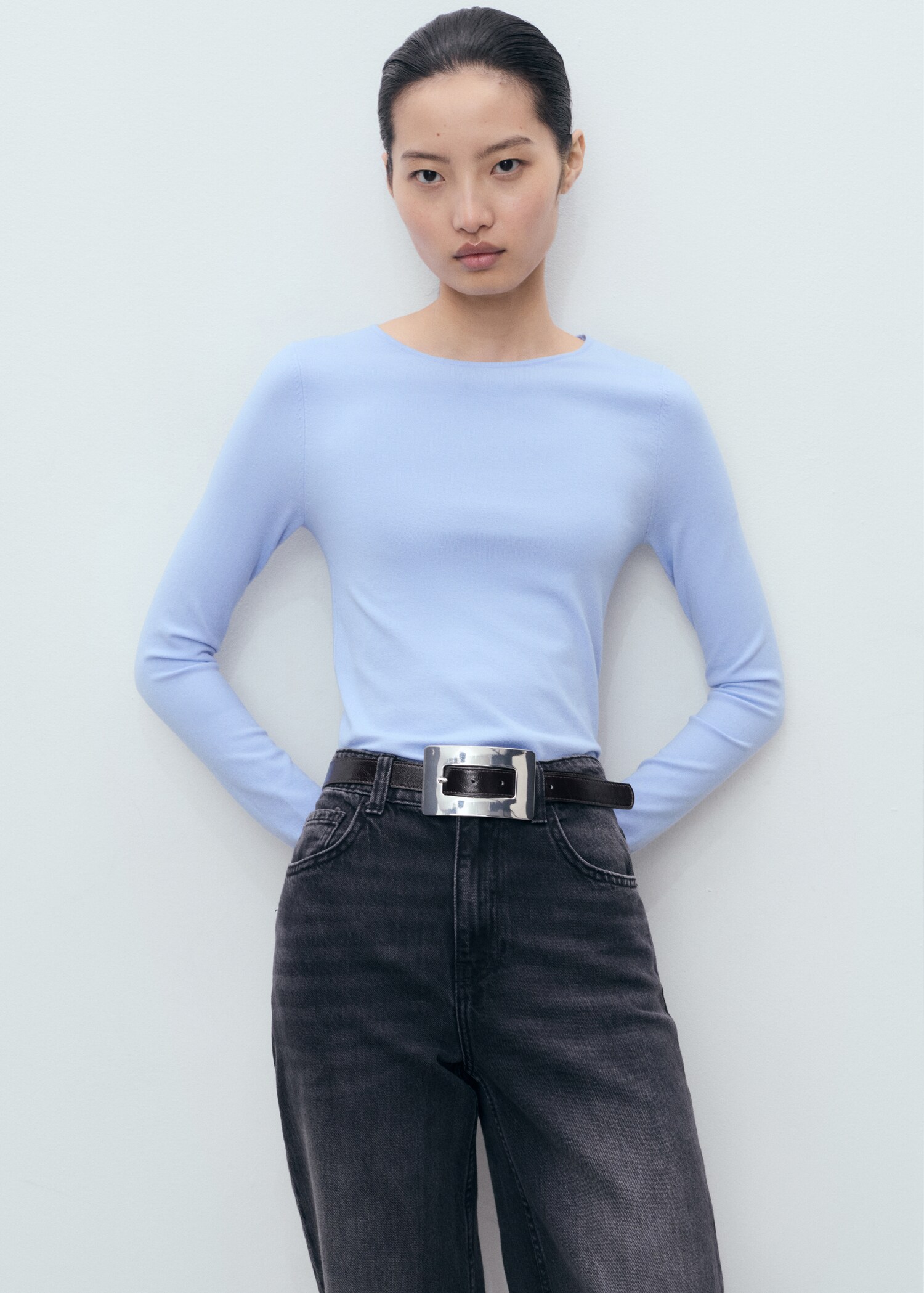 Long-sleeved fine-knit sweater - Medium plane