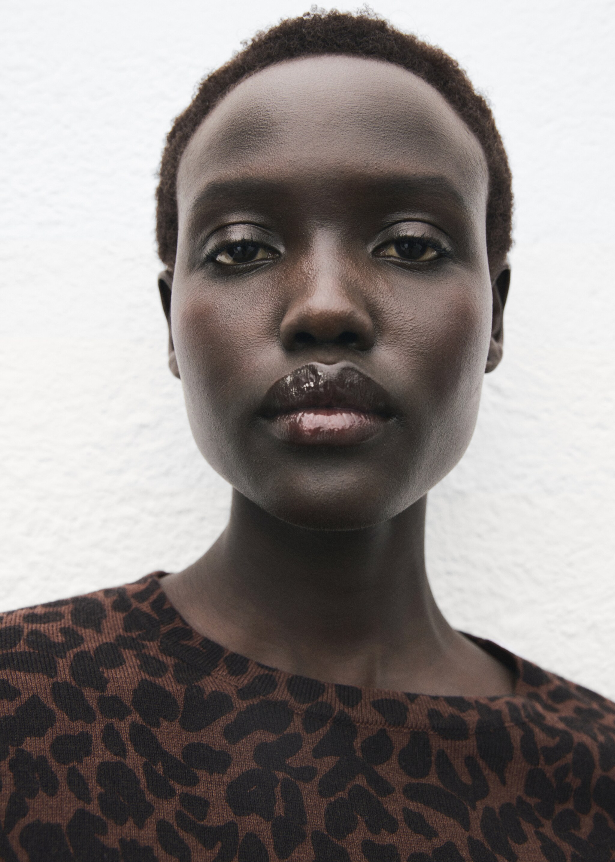 Ribbed leopard-print sweater - Details of the article 1, Chocolate. Ref: 17005832-00.