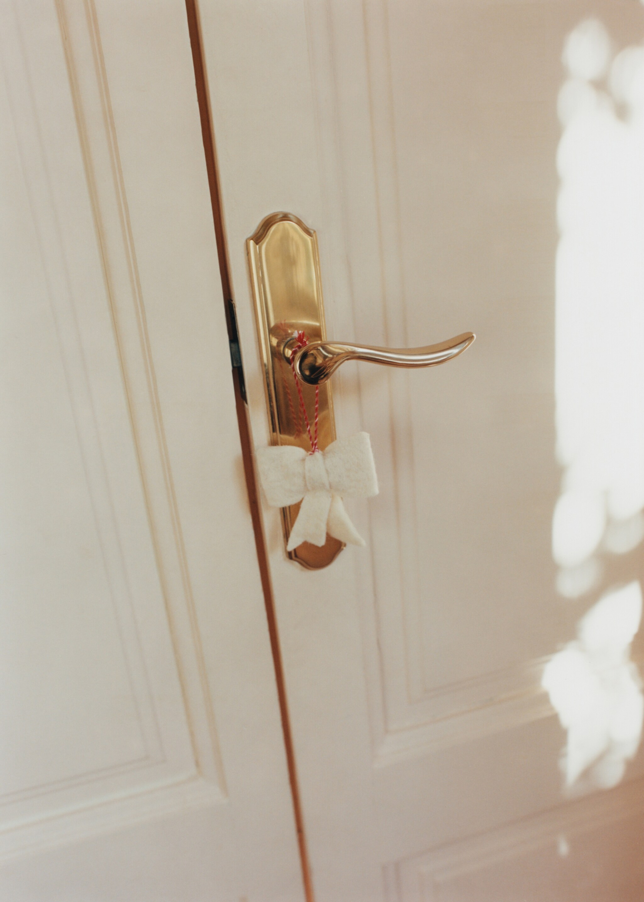 Décorations nœuds feutre - Détail de l'article 6, Blanc. Ref: 17008296-00.