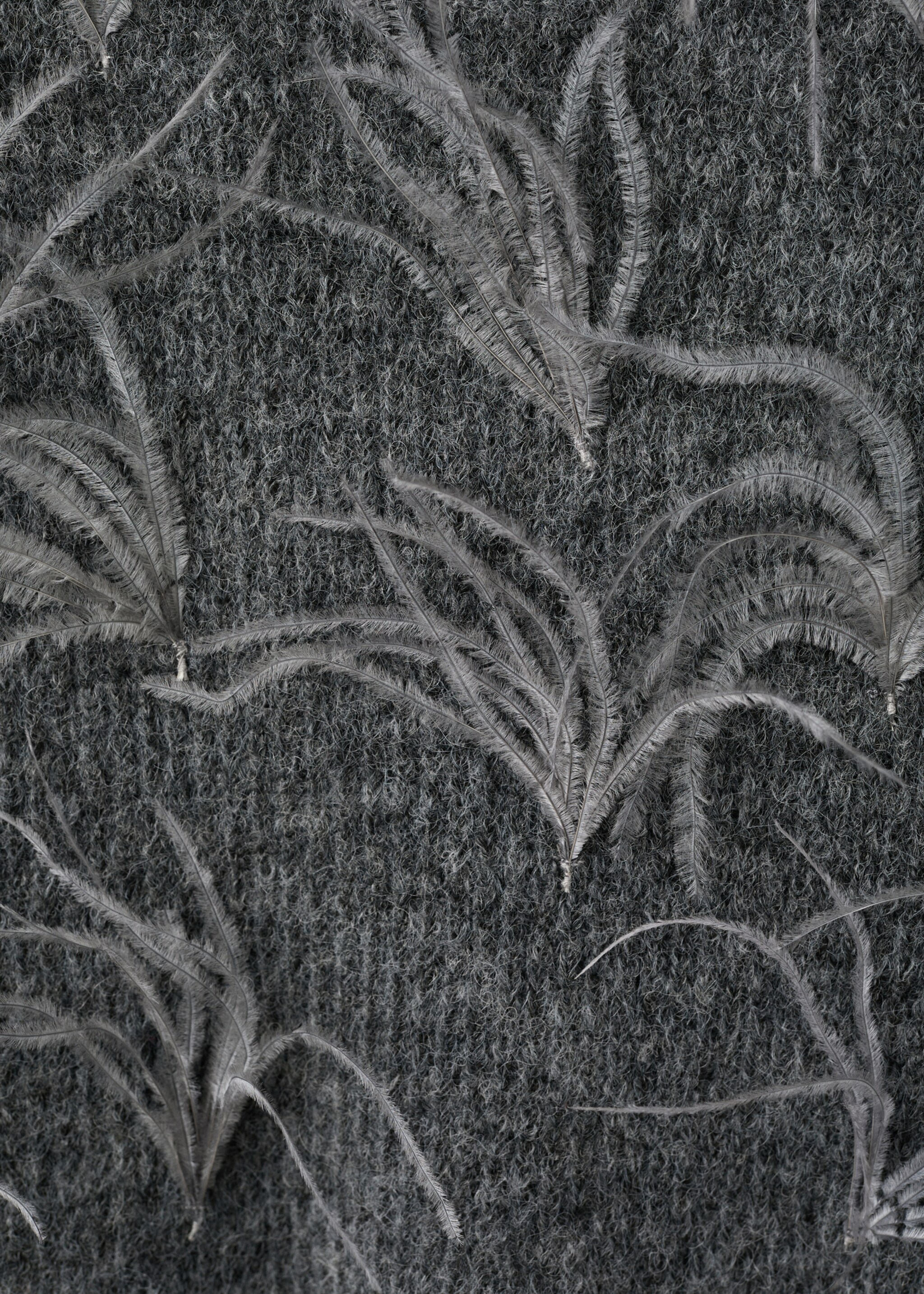 Knitted sweater with feathers - Details of the article 8, Medium Heather Grey. Ref: 17009117-00.