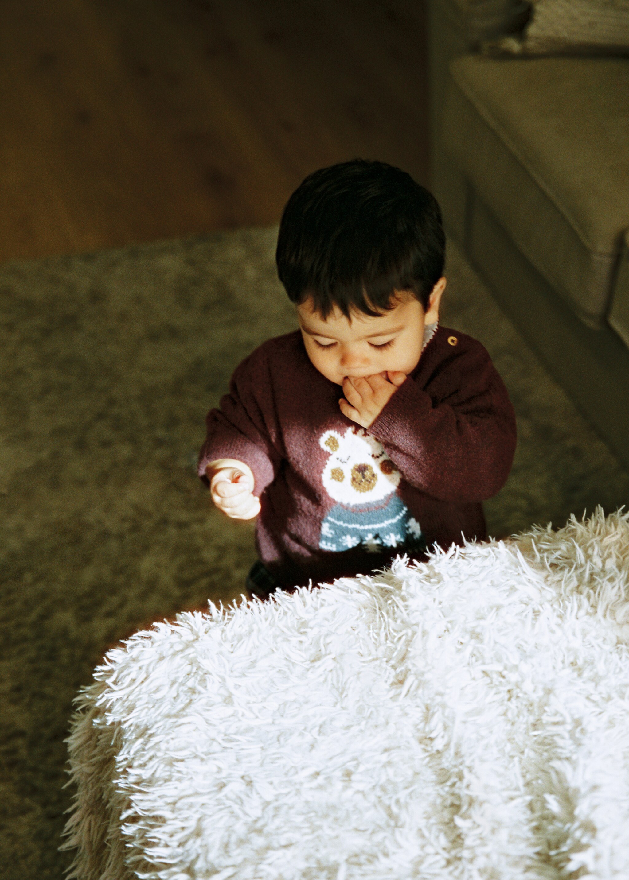 Chunky-knit bear sweater - Details of the article 5, Wine. Ref: 17009126-00.