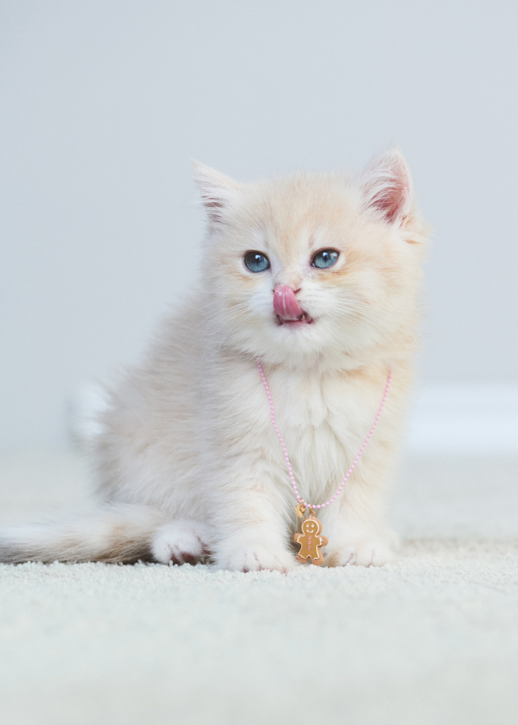 Lot 2 colliers de Noël - Détail de l'article 5, Rose pâle. Ref: 17009212-00.