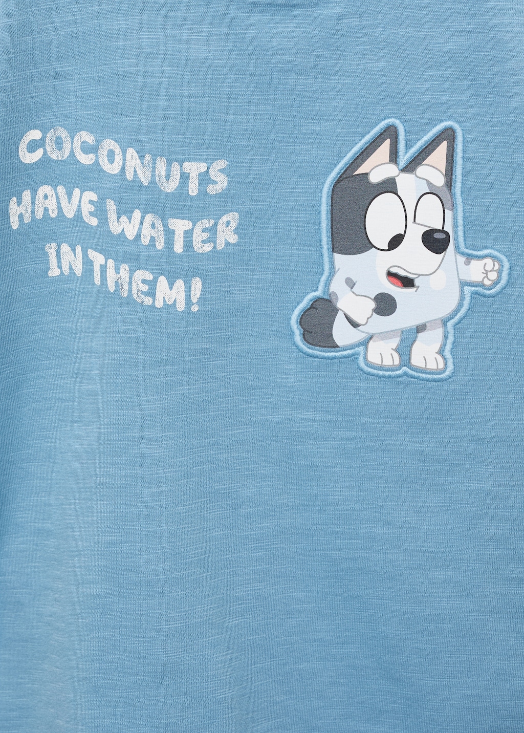 Bluey printed t-shirt