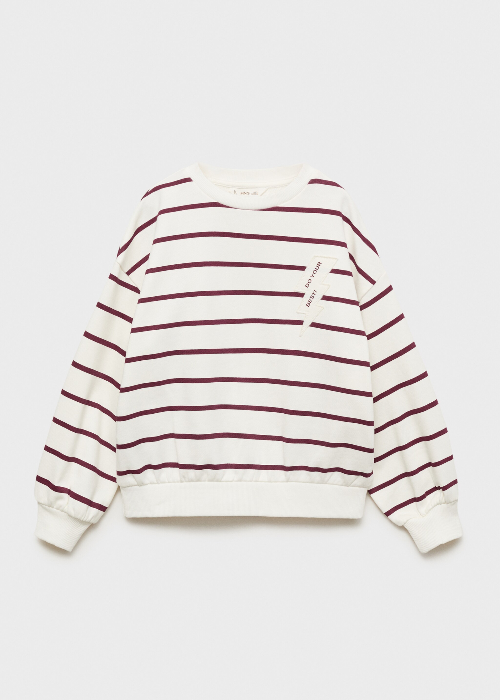 Embroidery striped sweatshirt - Article without model