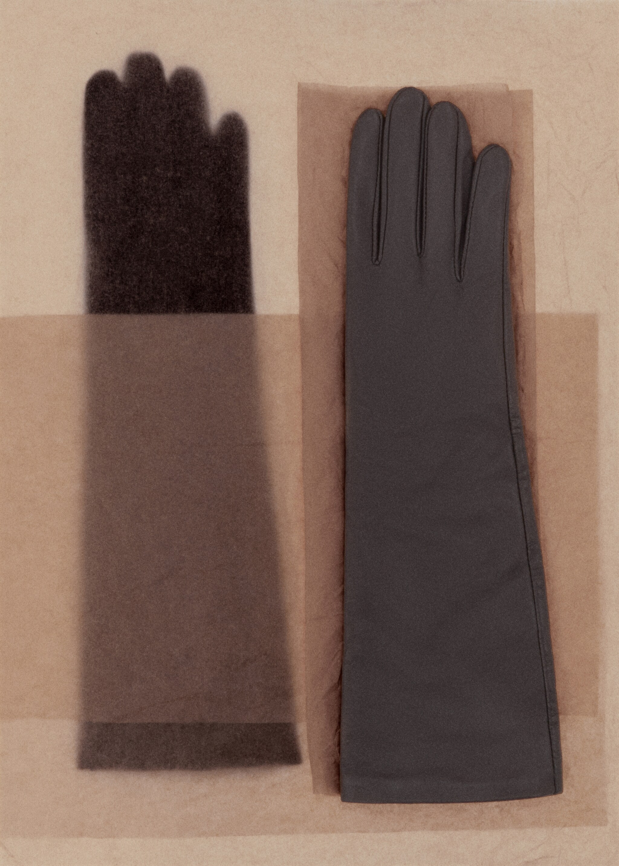 Leather long gloves - Details of the article 7, Chocolate. Ref: 17017772-00.