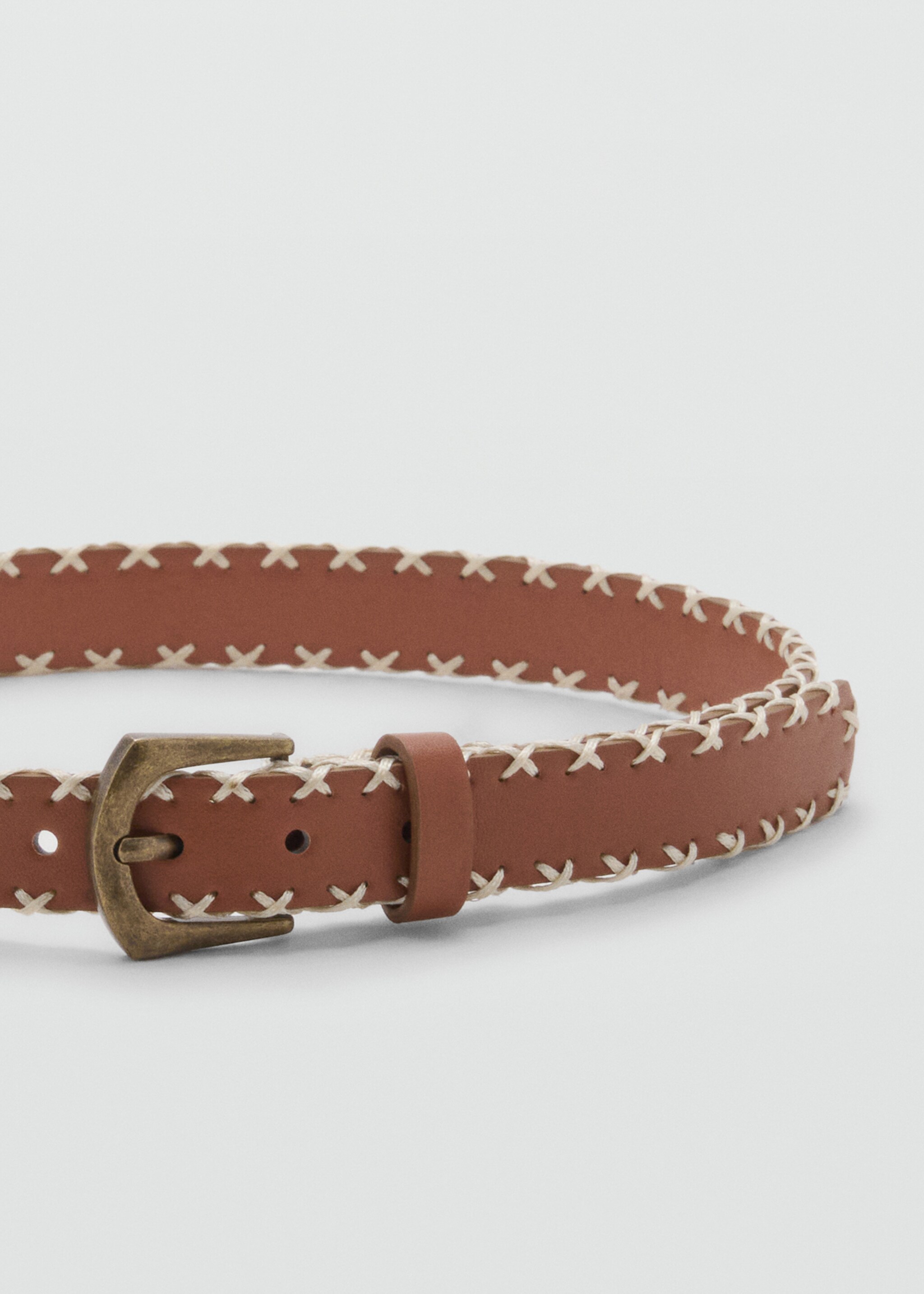 Embroidered belt - Details of the article 1