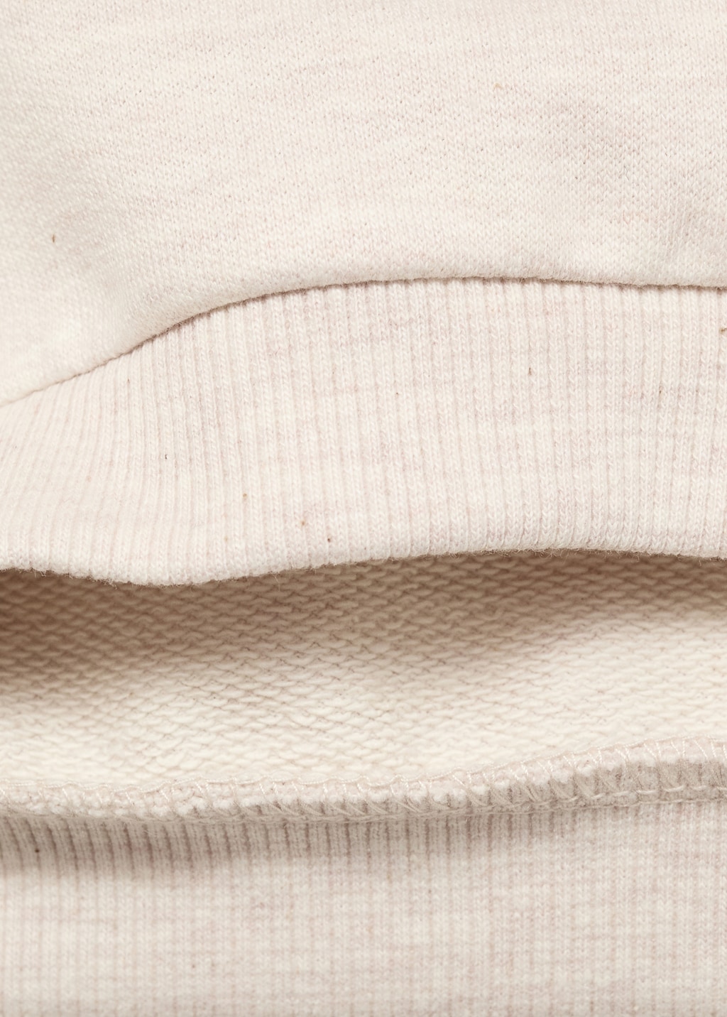 Sweatshirt with embroidered lion